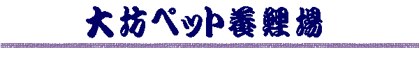 ̓X̃z[